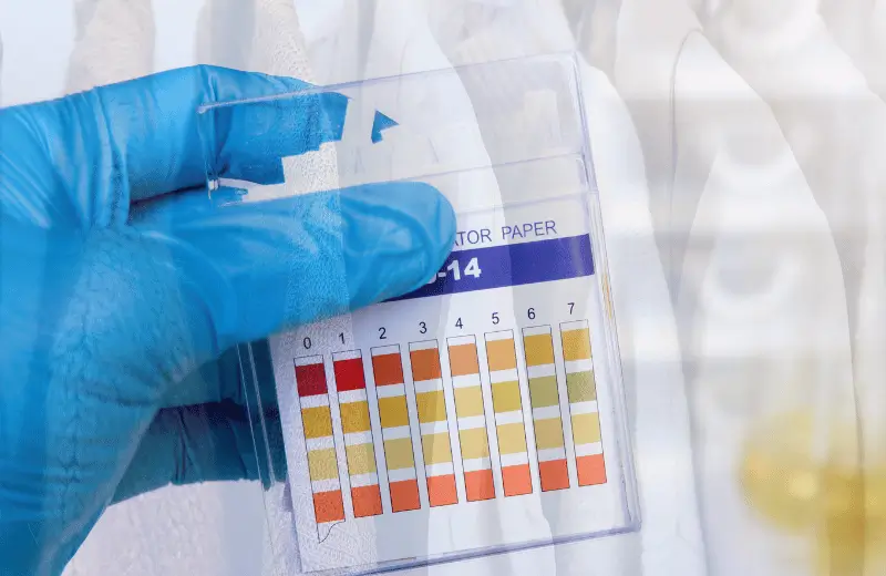 Pre-Shipment Inspection